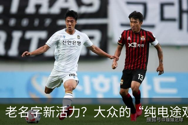 老名字新活力？大众的“纯电途观”全新登场